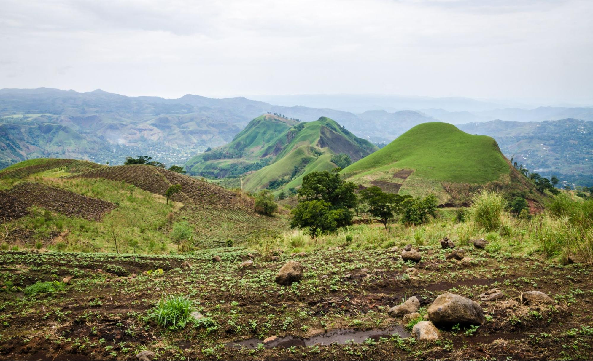 Rolling fertile hills with fields and crops on Ring Road of Cameroon