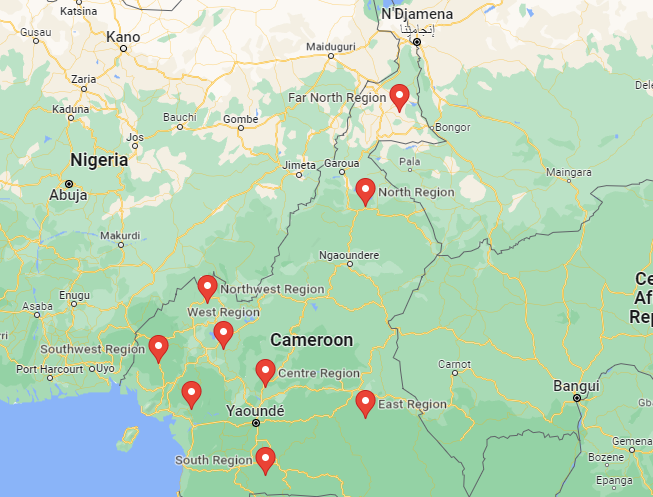 Cameroon map with regions