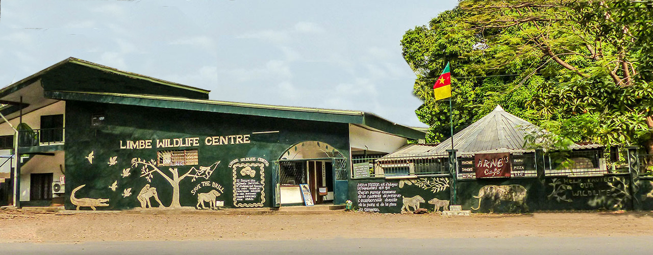 Visit Limbe Wildlife Centre